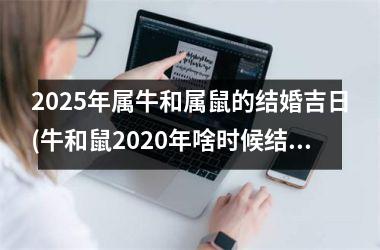 <h3>2025年属牛和属鼠的结婚吉日(牛和鼠2020年啥时候结婚日子好)