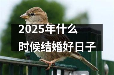 <h3>2025年什么时候结婚好日子