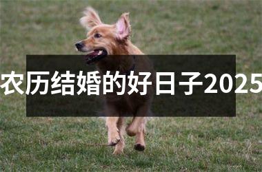 农历结婚的好日子2025