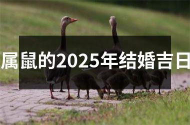 <h3>属鼠的2025年结婚吉日