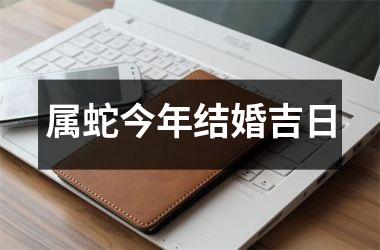 <h3>属蛇今年结婚吉日