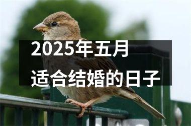 <h3>2025年五月适合结婚的日子