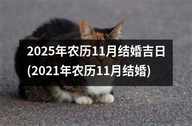 <h3>2025年农历11月结婚吉日(2021年农历11月结婚)