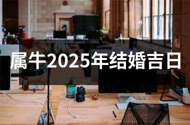 <h3>属牛2025年结婚吉日