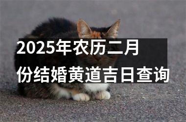 <h3>2025年农历二月份结婚黄道吉日查询