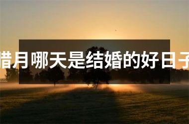 <h3>腊月哪天是结婚的好日子