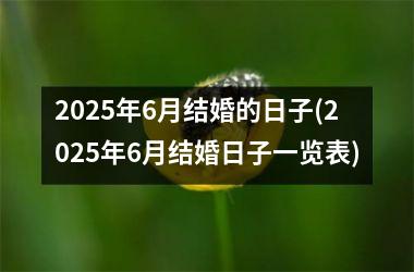 <h3>2025年6月结婚的日子(2025年6月结婚日子一览表)