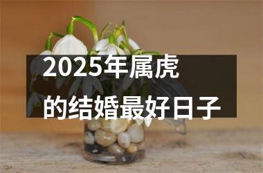 <h3>2025年属虎的结婚最好日子