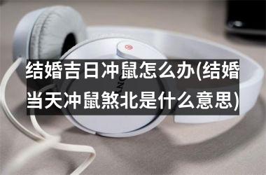 <h3>结婚吉日冲鼠怎么办(结婚当天冲鼠煞北是什么意思)