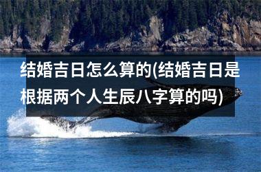 <h3>结婚吉日怎么算的(结婚吉日是根据两个人生辰八字算的吗)