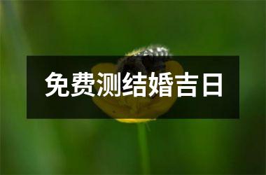 <h3>免费测结婚吉日