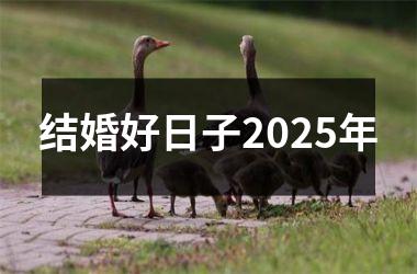 <h3>结婚好日子2025年
