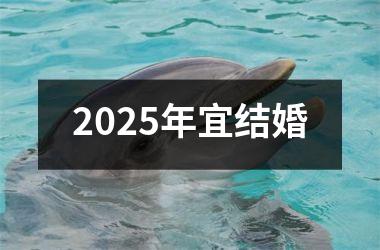 <h3>2025年宜结婚