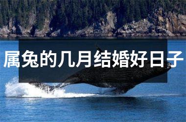 <h3>属兔的几月结婚好日子