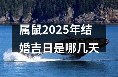 <h3>属鼠2025年结婚吉日是哪几天
