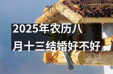 <h3>2025年农历八月十三结婚好不好