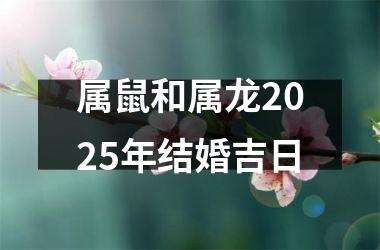 属鼠和属龙2025年结婚吉日