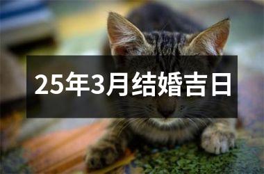 <h3>25年3月结婚吉日
