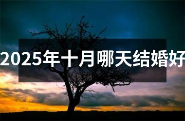 <h3>2025年十月哪天结婚好