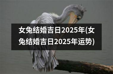 <h3>女兔结婚吉日2025年(女兔结婚吉日2025年运势)