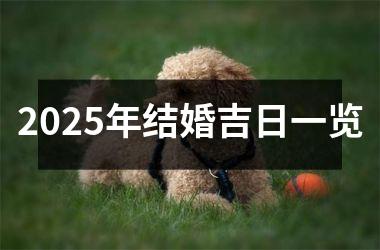 2025年结婚吉日一览