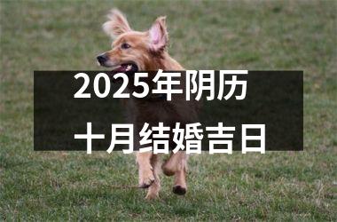 <h3>2025年阴历十月结婚吉日