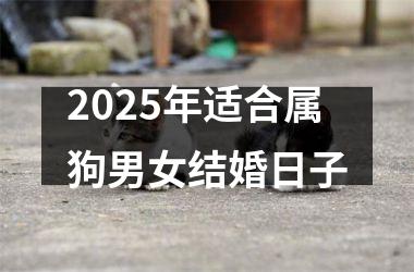 <h3>2025年适合属狗男女结婚日子