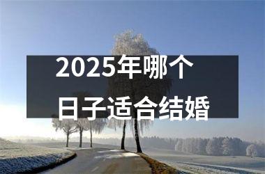 <h3>2025年哪个日子适合结婚