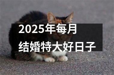 <h3>2025年每月结婚特大好日子