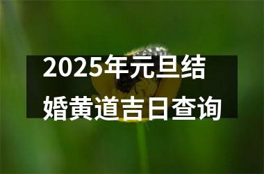 <h3>2025年元旦结婚黄道吉日查询