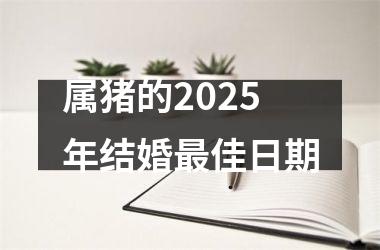 <h3>属猪的2025年结婚最佳日期