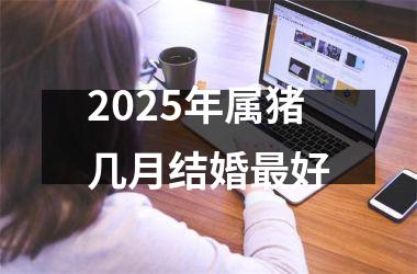 <h3>2025年属猪几月结婚最好