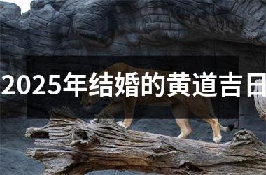 <h3>2025年结婚的黄道吉日