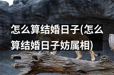 <h3>怎么算结婚日子(怎么算结婚日子妨属相)