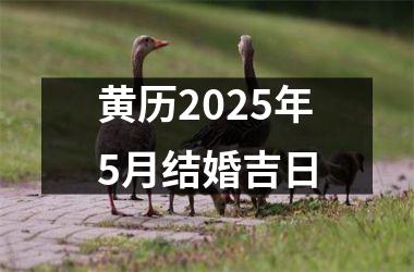 <h3>黄历2025年5月结婚吉日