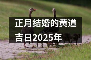 <h3>正月结婚的黄道吉日2025年
