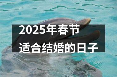 <h3>2025年春节适合结婚的日子