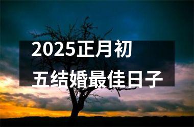 <h3>2025正月初五结婚最佳日子
