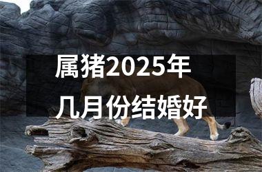 <h3>属猪2025年几月份结婚好