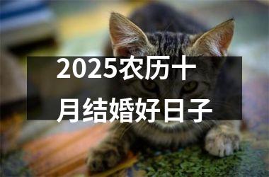 <h3>2025农历十月结婚好日子