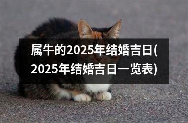 <h3>属牛的2025年结婚吉日(2025年结婚吉日一览表)