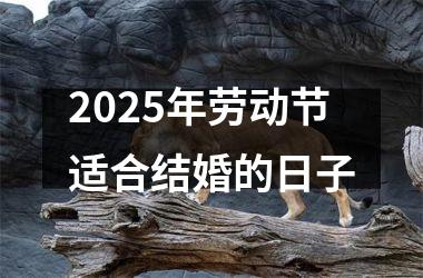 <h3>2025年劳动节适合结婚的日子