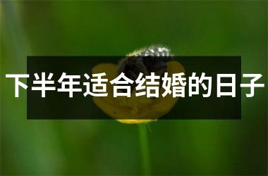 <h3>下半年适合结婚的日子