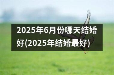 <h3>2025年6月份哪天结婚好(2025年结婚最好)