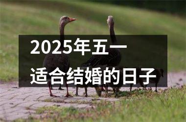 <h3>2025年五一适合结婚的日子