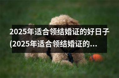 <h3>2025年适合领结婚证的好日子(2025年适合领结婚证的好日子是哪一天)