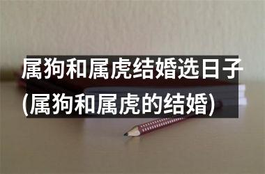 <h3>属狗和属虎结婚选日子(属狗和属虎的结婚)