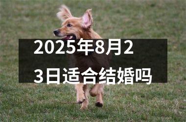 <h3>2025年8月23日适合结婚吗