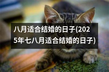 <h3>八月适合结婚的日子(2025年七八月适合结婚的日子)