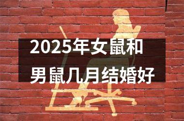 <h3>2025年女鼠和男鼠几月结婚好